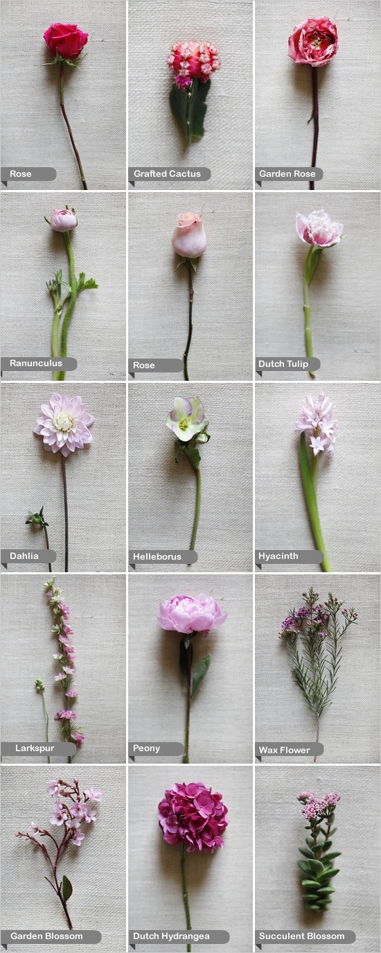 λουλούδια-4